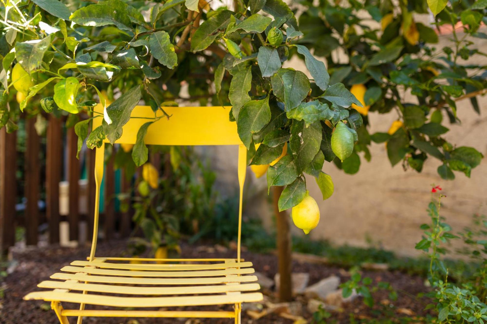 La Tour Du Terroir Bed & Breakfast Rivesaltes Luaran gambar